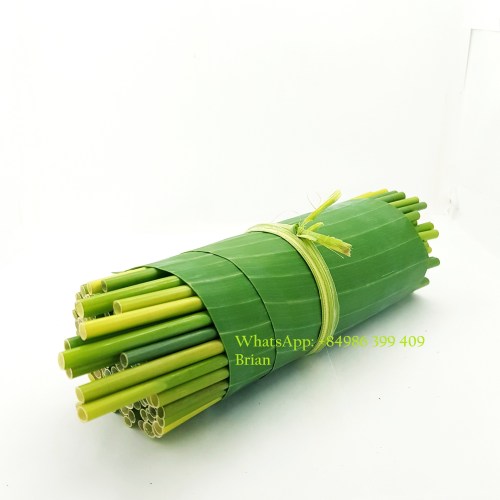 Ống hút tự nhiên - ống Hút Cỏ Bàng Green Future - Công Ty TNHH Sản Xuất Và Thương Mại Green Future Việt Nam